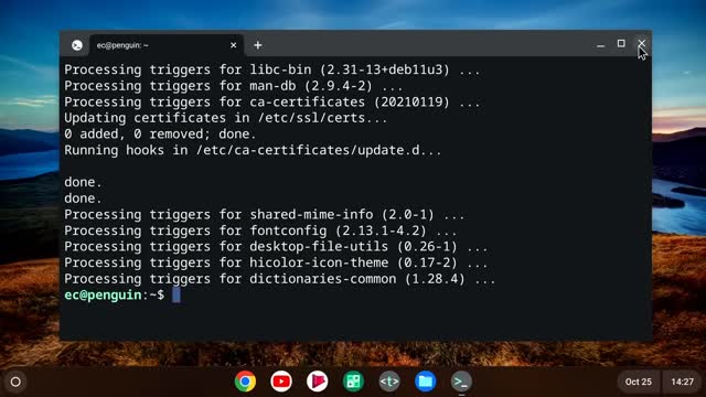 Chrome OS Flex Installing Linux Apps