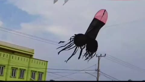Cock Kite 🤣 VS Ghost Kite - Who Win ?😂