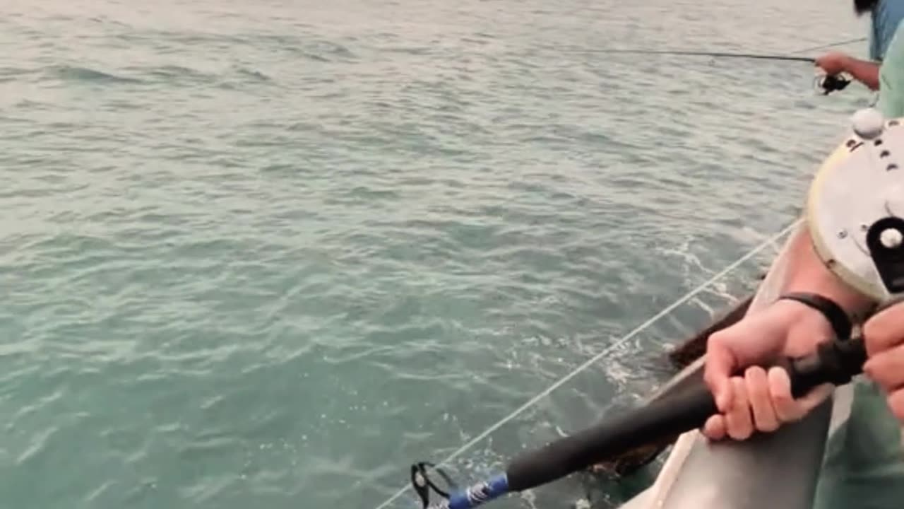 Big baits catch big fish!🤯