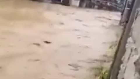 FÉRIAS EM VENEZA