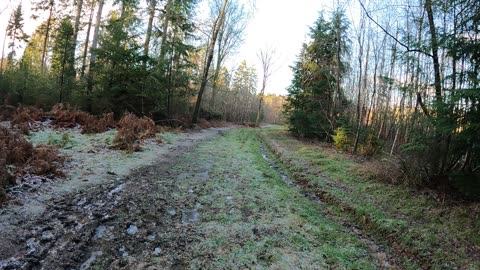 Hiking on uneven terrain in the woods. Speedlapse18th Jan 2023