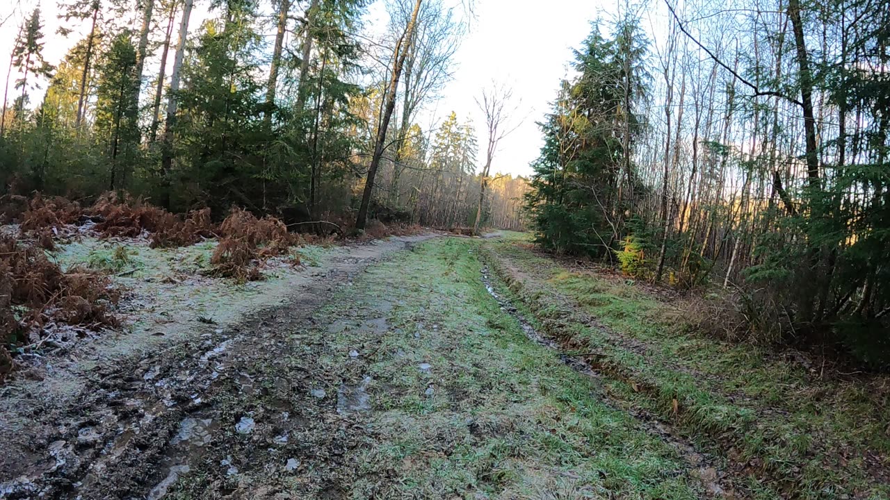 Hiking on uneven terrain in the woods. Speedlapse18th Jan 2023