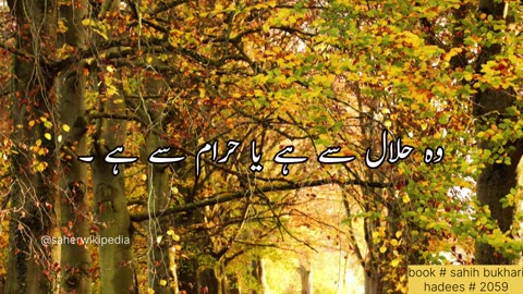 مال｜ hadees status for whatsupp｜ islamic status vide