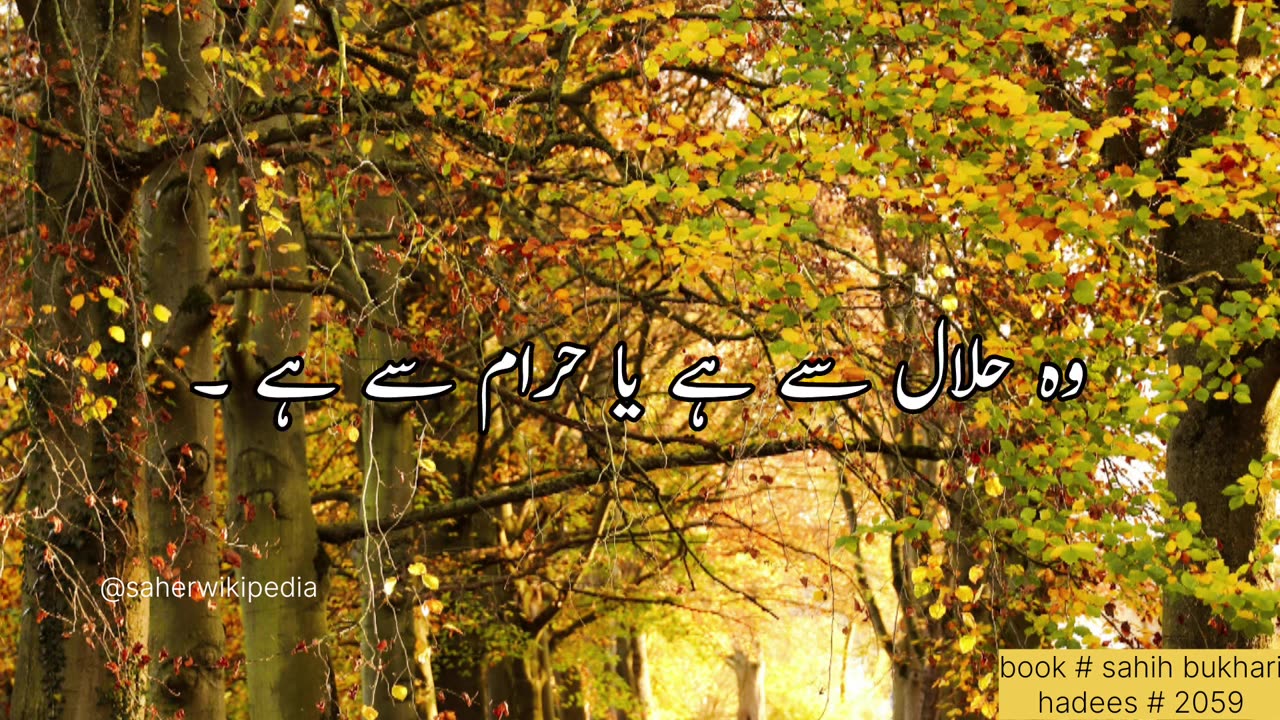 مال| hadees status for whatsupp| islamic status vide