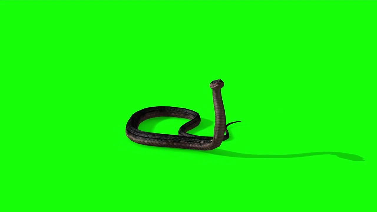 The skillful snake