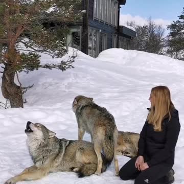 My Collection Adventure#4