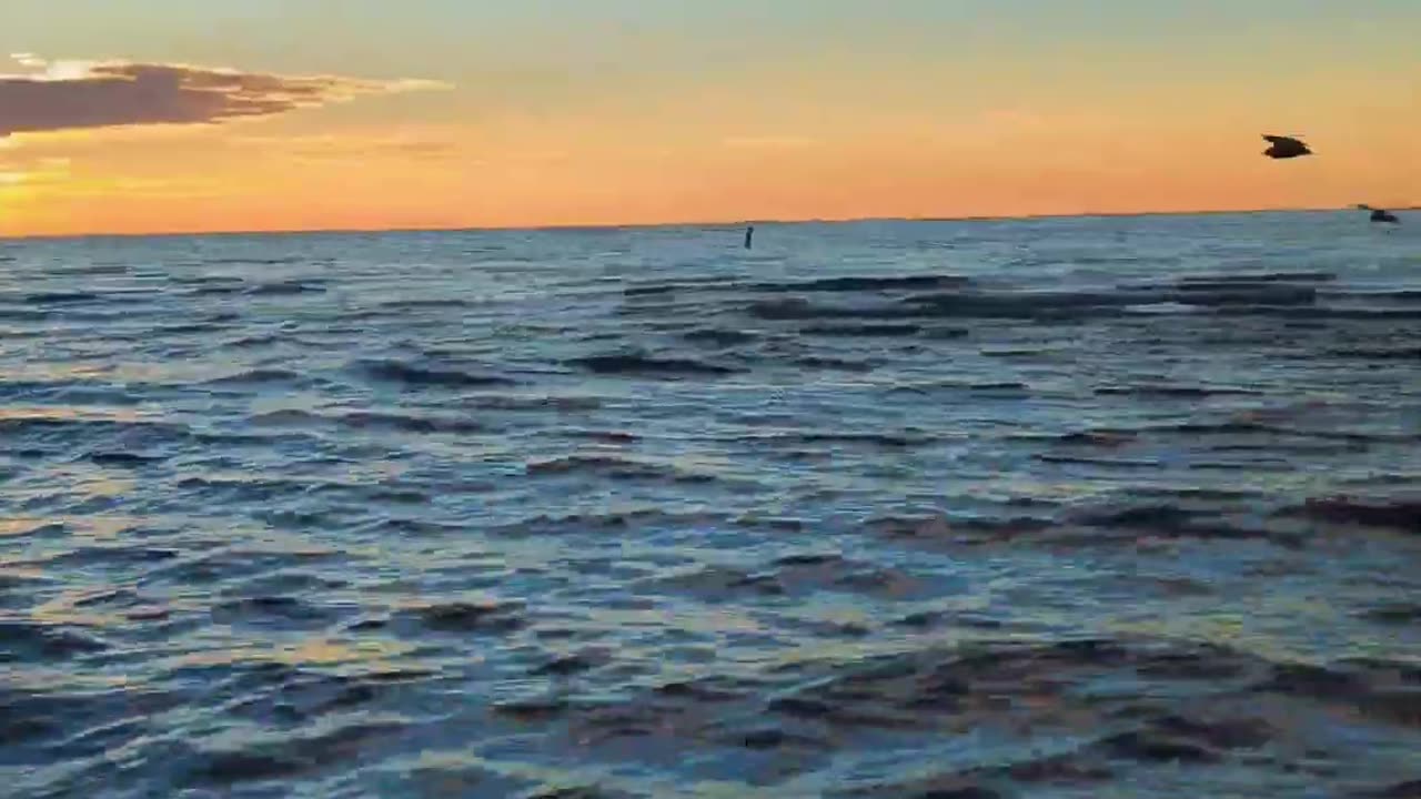 Beautiful Scenery and Sea Birds