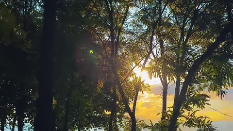 Natural beauty of nature 💞💞