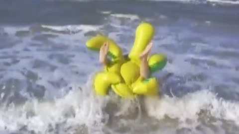 Funny Videos Compilation 😂😁😆