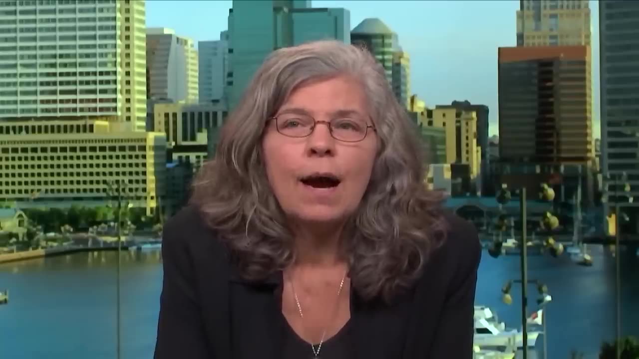 "I Was Shocked": Meet the State Dept. Official Who Quit After Report Denies Israel Blocking Gaza Aid