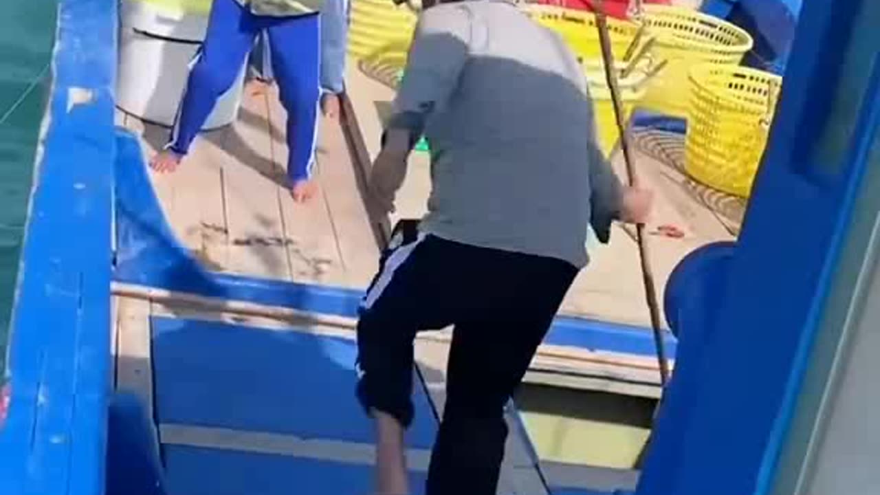 Fish Tales: Short, Sweet, and Totally Viral! (fishing shorts)