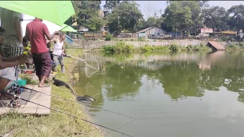 Fishing video