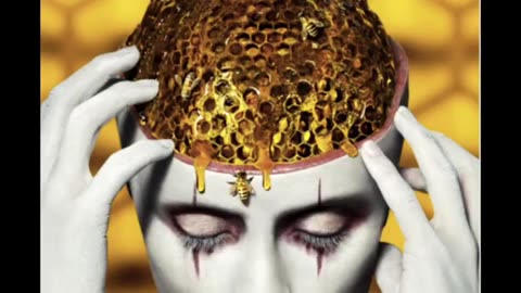 Call: The War On 'Conspiracy Theories' Reached New Levels Of Embarrassing Desperation!