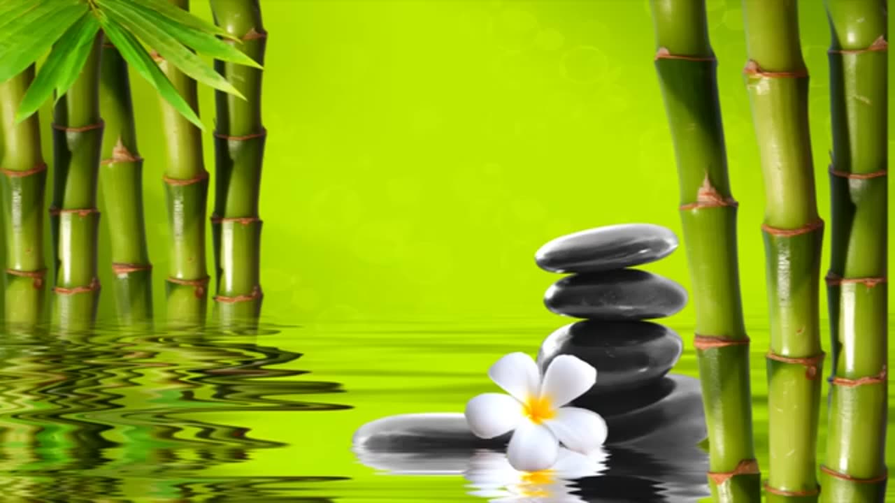 3 HOURS Relaxing Music with Water Sounds Meditation