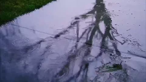 Rain sounds for sleeping | Light rain