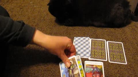 ✅ YES or NO❓PICK A CARD