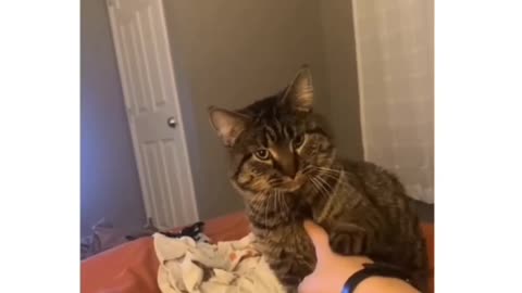 He had enough 😆😂