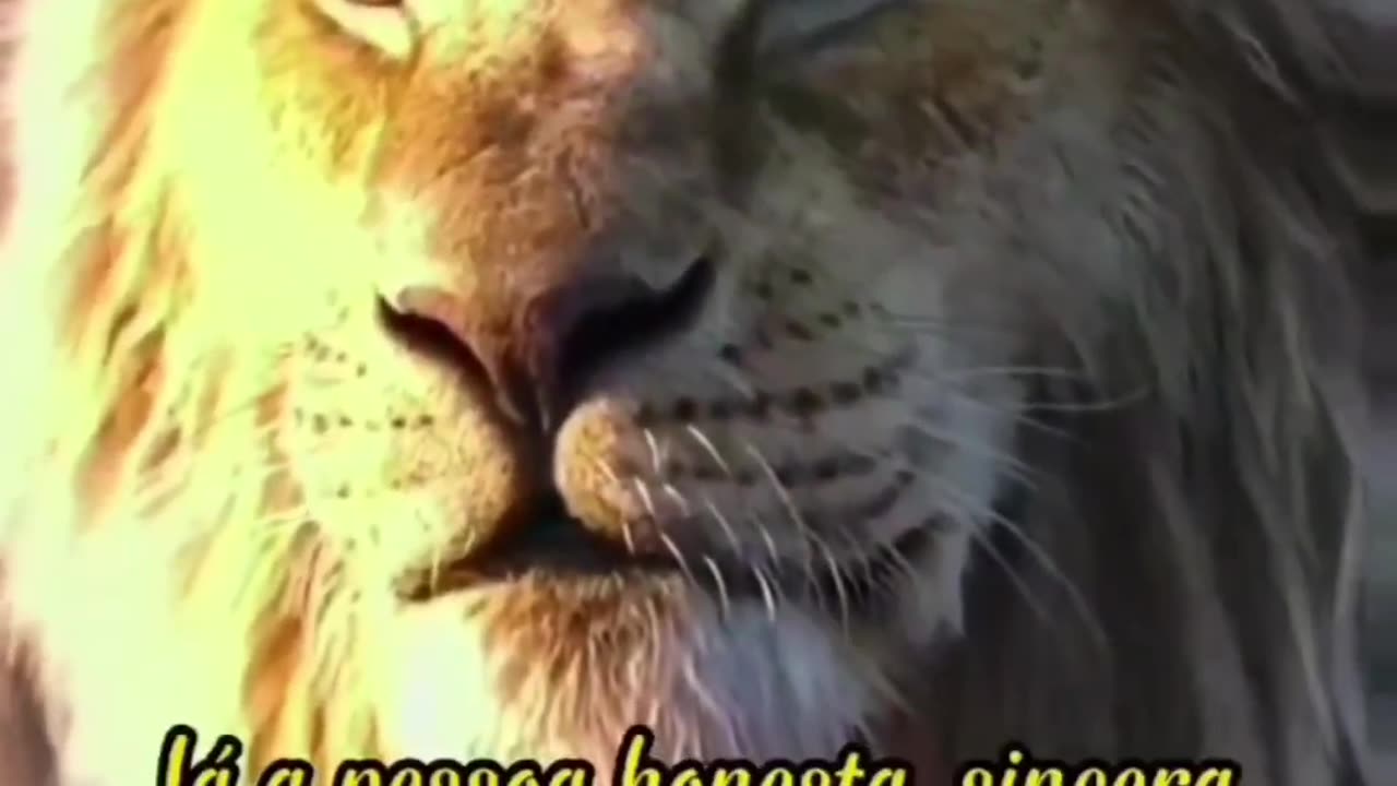Se quiser observar o caráter de uma pessoa...