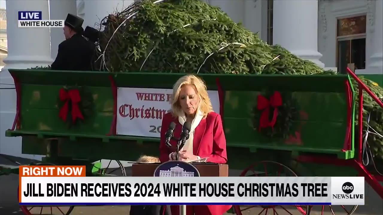 Joe & Jill Biden [evil] take a Pine Tree that “Remained Standing” after Hurricane Helene in NC