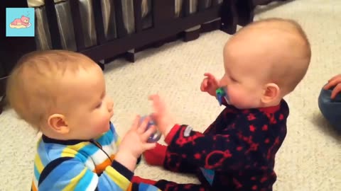 Twin Babies Fight Over Pacifier - Funny Baby Videos