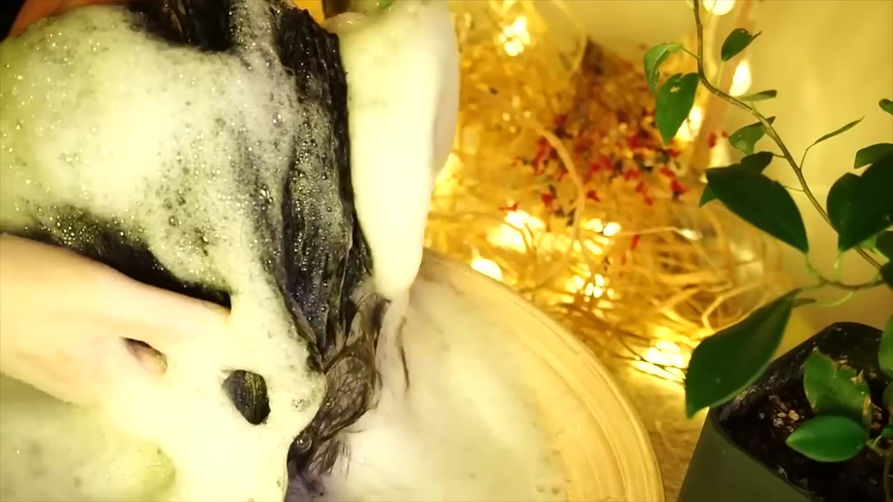 [ASMR] Sleep Recovery #2 | 3 Hours Shampoo & Hair wash | No Talking