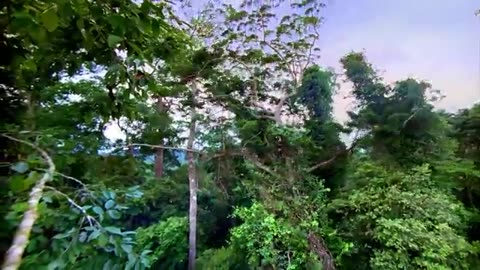 Nature Is Speaking – Reese Witherspoon is Home | Conservation International (CI)