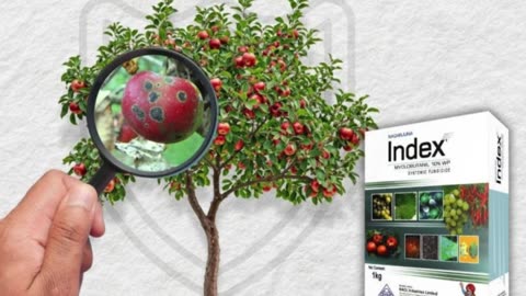 Top Agrochemicals For High-Yield Farming in India | Pesticides