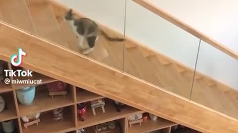 Sliding down the stairs