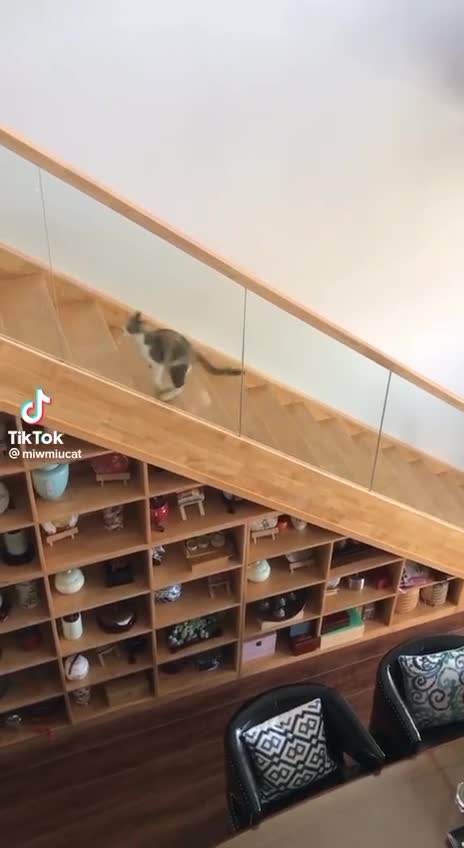 Sliding down the stairs