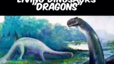 LIVING DINOSAURS Or DRAGONS ANCIENT SWAMP IN AFRICA