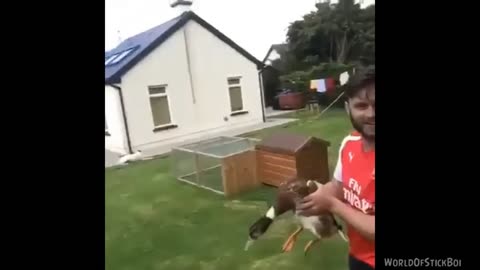 Tik tok TRY NOT TO LAUGH