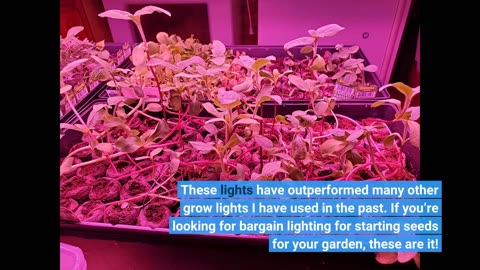 Sunco Lighting LED #GrowLight 40W Red-Overview
