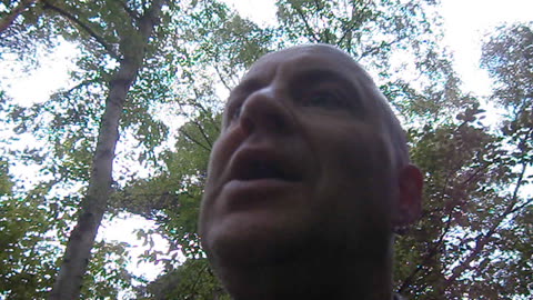 Tallskogen. Planteringen, Helsingborg 11 Maj 2014