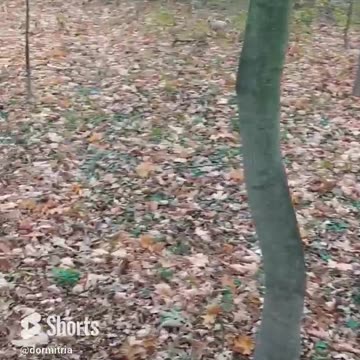 Luna and Tosia in an old abandoned park.