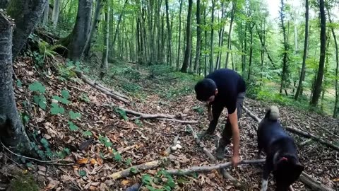 Survival in the forest building a wooden and stone shelter, cooking quail