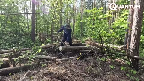 Building the Biggest Log Cabin Hidden UNDERGROUND | by @alex-wild