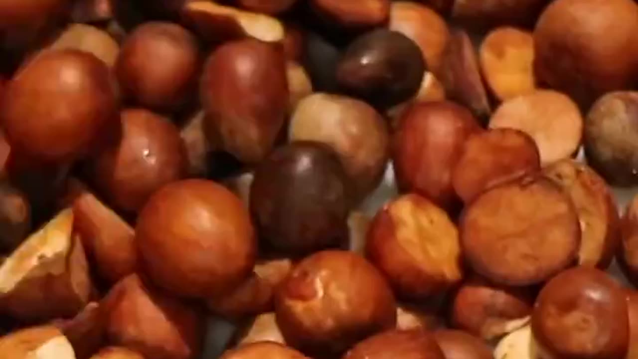 How avocado 🥑 waste is turned into biodegradable plastic