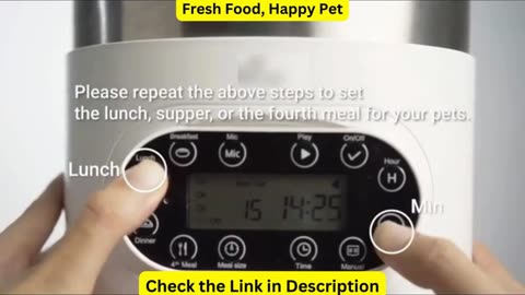 Automatic Feeder For Cat Dog Foods Automatic Dispenser Stainless Steel Double Bowls Pet Cats Dogs