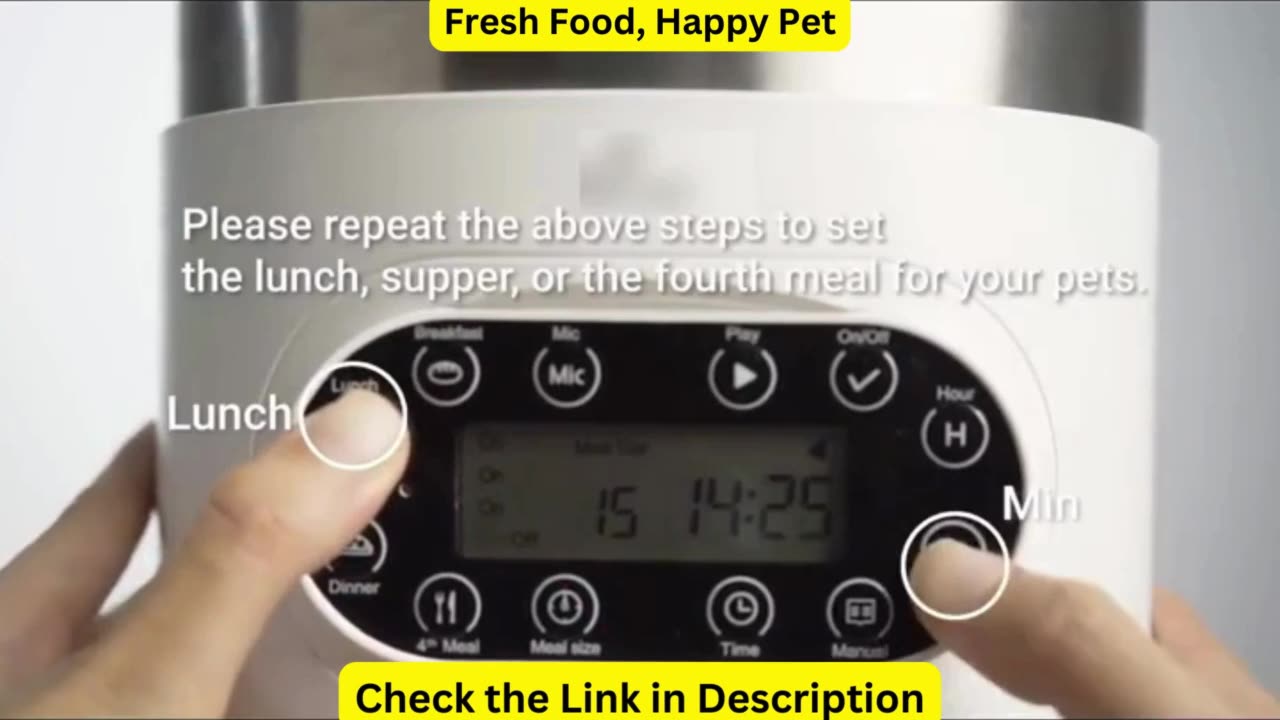 Automatic Feeder For Cat Dog Foods Automatic Dispenser Stainless Steel Double Bowls Pet Cats Dogs