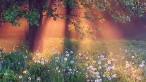 🔴 Relaxing Music 24/7, Sleep Music, Stress Relief Music, Spa, Meditation, Yoga, Zen, Sleeping Music