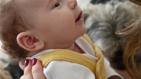 Baby dog#cute puppy barking#4kviral#shorts