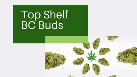 Discover the Many Benefits of Consuming Jungle Cake Cannabis