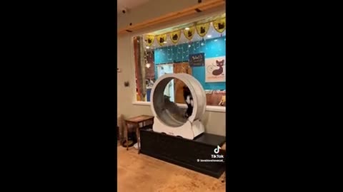 Need a laugh here and there :) ..