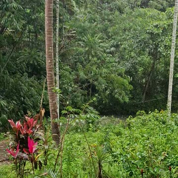 Rainy Day Coffee Magic at the Farm