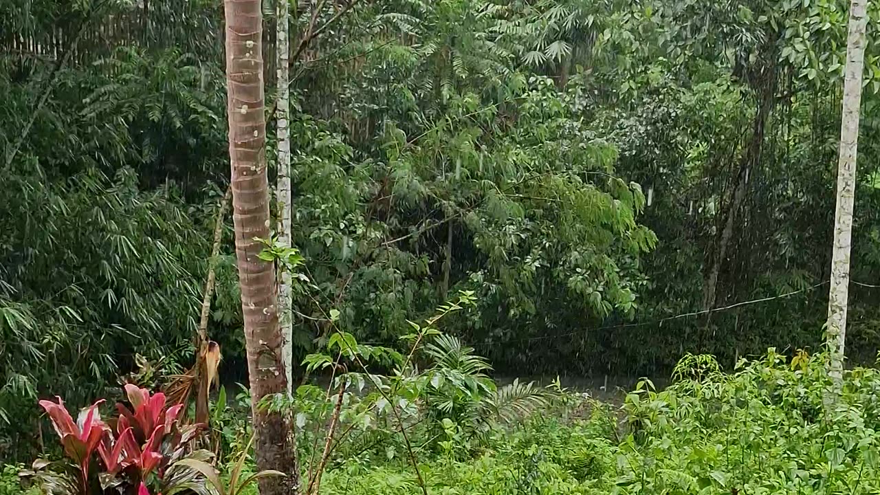 Rainy Day Coffee Magic at the Farm