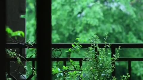 🔴 Relaxing Music 24/7, Sleep Music, Stress Relief Music, Spa, Meditation, Yoga, Zen, Sleeping Music