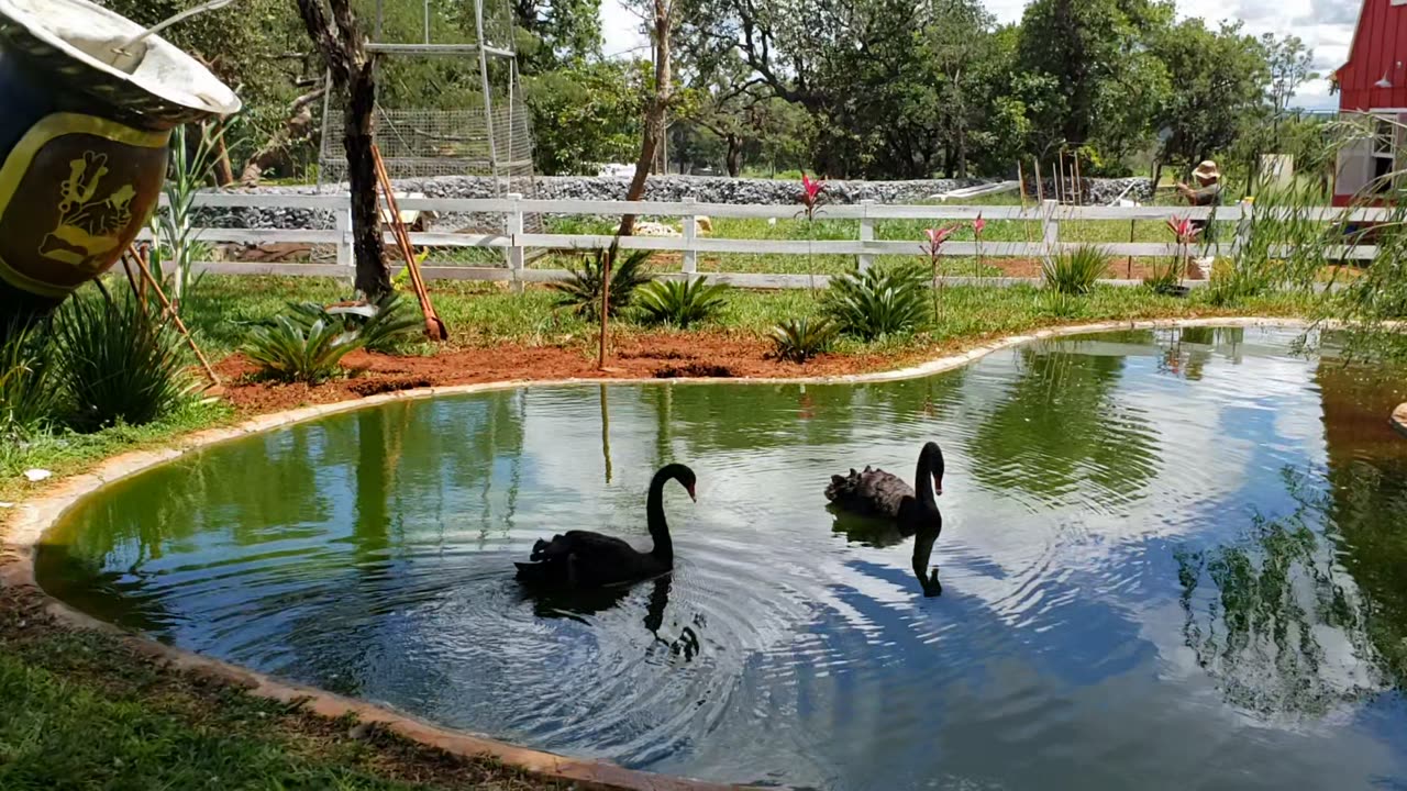 Entrada fazendinha da churrasqueira gaúcha em Brasília