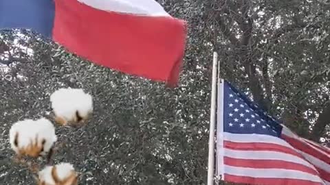 God Bless Texas