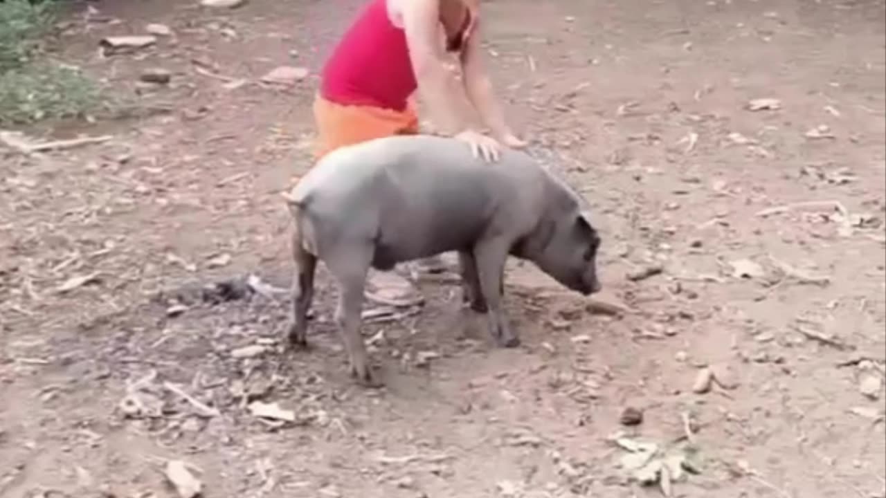 try not to laugh - best #funny #epic #fails EP133 #shorts #humor