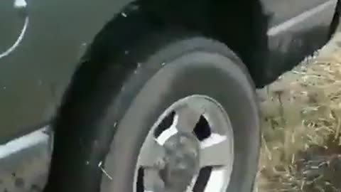Here's an easy method to get your car out of the mud